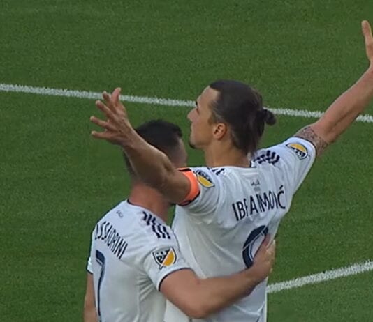 zlatan ibrahimovic